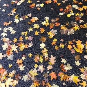 Meet your Posher, Theresa